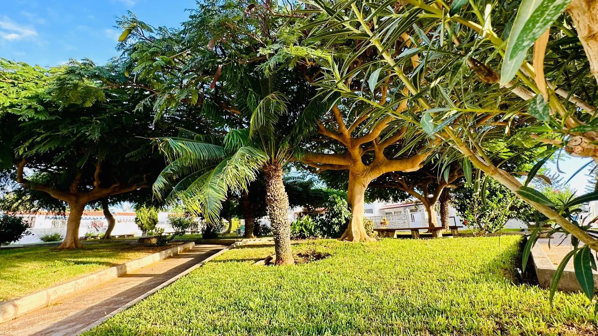 Sunny Summer Place أرونا شقة